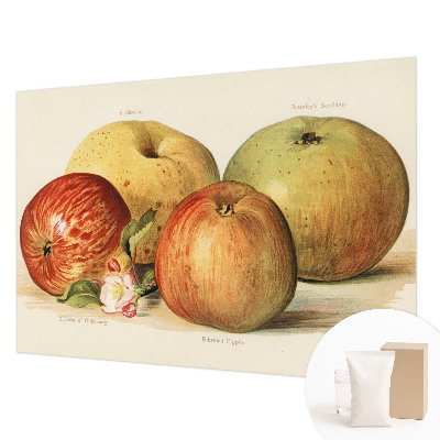 Wallpaper mural Apple blossoms