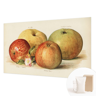 Wallpaper mural Apple blossoms