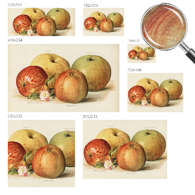 Wallpaper mural Apple blossoms