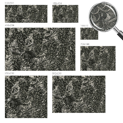 Wall mural Grape print