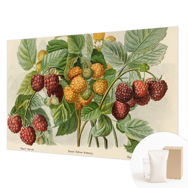Photo wallpaper Classic raspberries