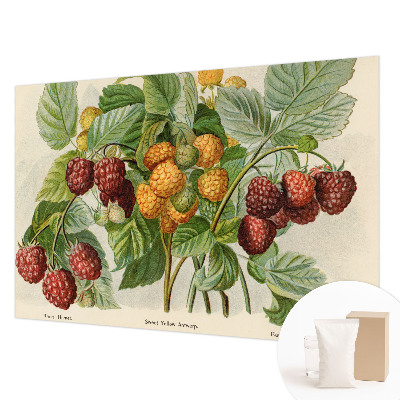 Photo wallpaper Classic raspberries