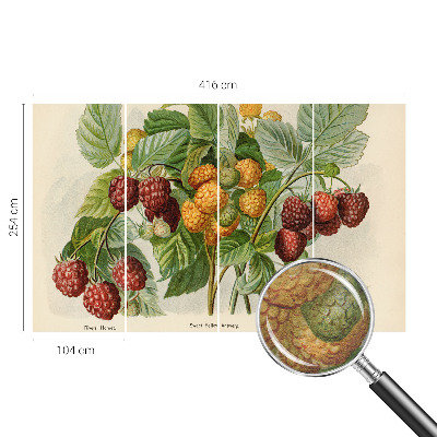 Photo wallpaper Classic raspberries