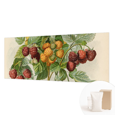 Photo wallpaper Classic raspberries