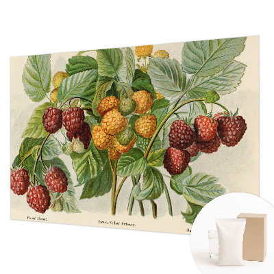 Photo wallpaper Classic raspberries