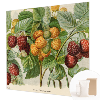 Photo wallpaper Classic raspberries