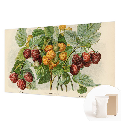 Photo wallpaper Classic raspberries