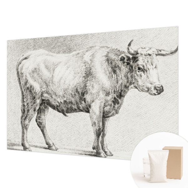 Wall mural for bedroom Bull pencil