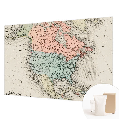 Custom size wall mural Historical map