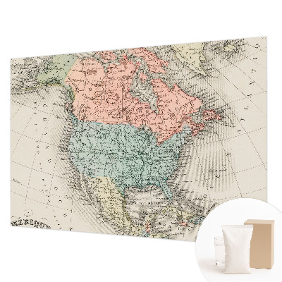 Custom size wall mural Historical map