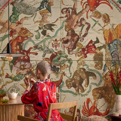 Modern wall mural for bedroom Star compositions