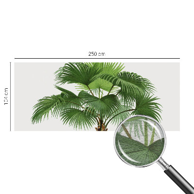Modern wall mural for living room Exotic palm tree
