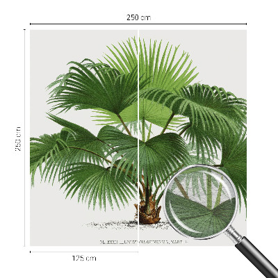 Modern wall mural for living room Exotic palm tree