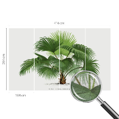 Modern wall mural for living room Exotic palm tree