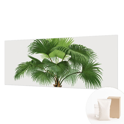 Modern wall mural for living room Exotic palm tree