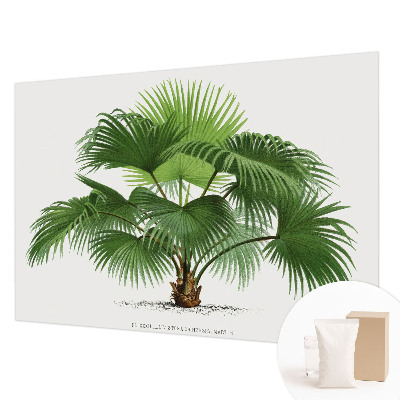 Modern wall mural for living room Exotic palm tree