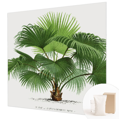 Modern wall mural for living room Exotic palm tree