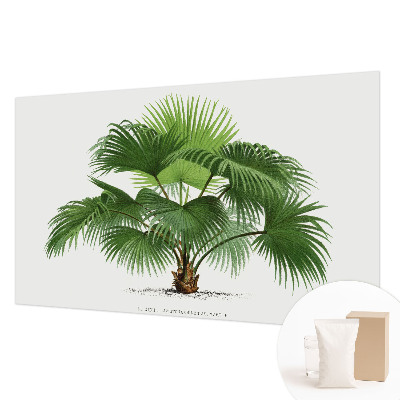 Modern wall mural for living room Exotic palm tree