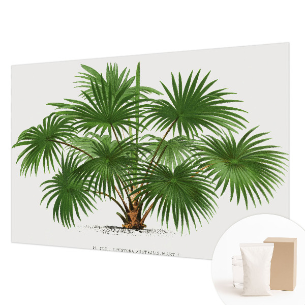 High quality photo wallpaper Exotic pattern