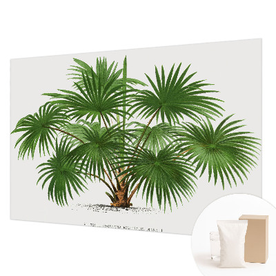 High quality photo wallpaper Exotic pattern