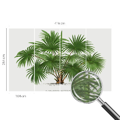 High quality photo wallpaper Exotic pattern