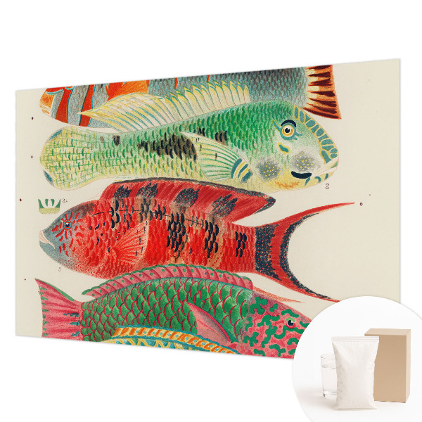 Premium wall mural for bedroom Exotic fish