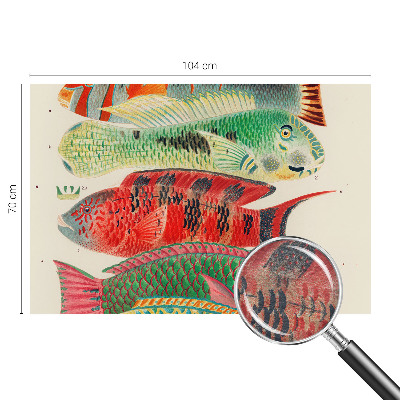 Premium wall mural for bedroom Exotic fish