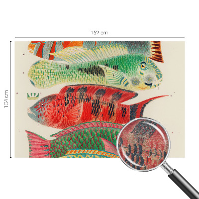 Premium wall mural for bedroom Exotic fish