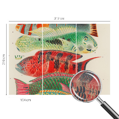 Premium wall mural for bedroom Exotic fish