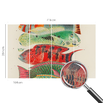 Premium wall mural for bedroom Exotic fish