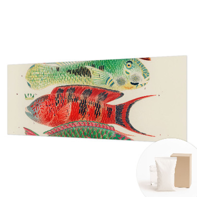 Premium wall mural for bedroom Exotic fish
