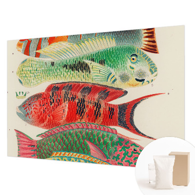 Premium wall mural for bedroom Exotic fish