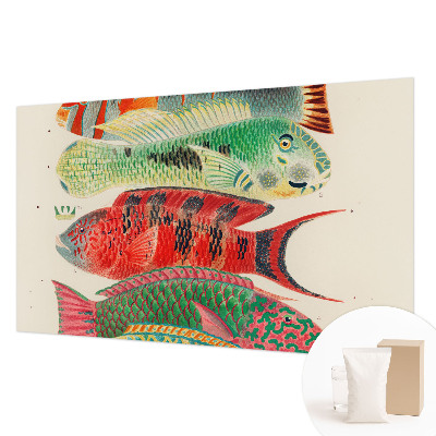 Premium wall mural for bedroom Exotic fish