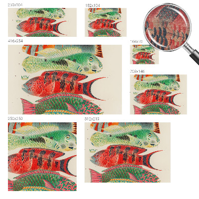 Premium wall mural for bedroom Exotic fish