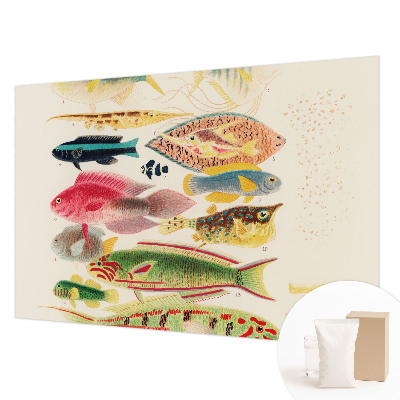 Decorative wall mural for living room Colorful fish