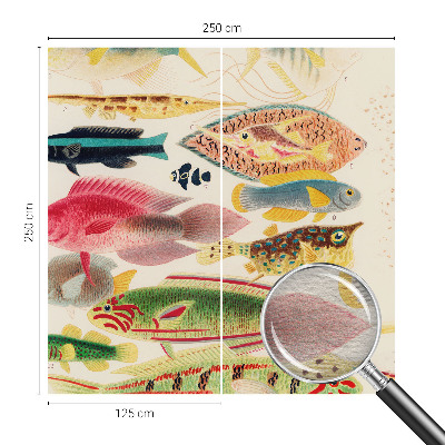 Decorative wall mural for living room Colorful fish