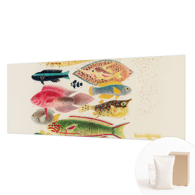 Decorative wall mural for living room Colorful fish