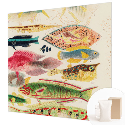Decorative wall mural for living room Colorful fish