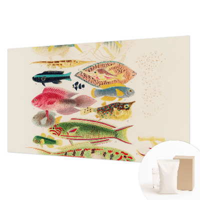 Decorative wall mural for living room Colorful fish