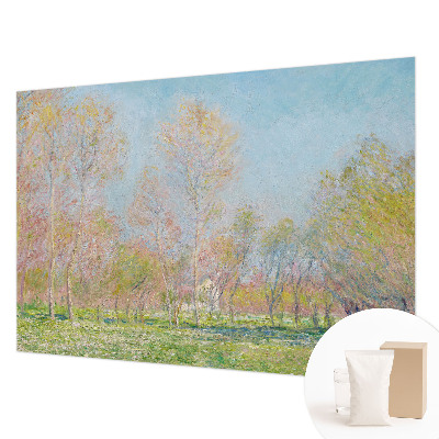 Non-woven photo wallpaper Spring park