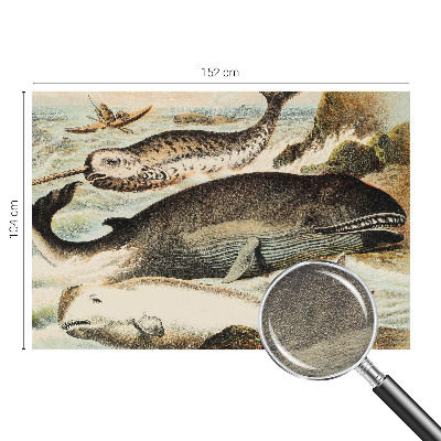 Custom size wall mural Sea giants