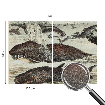 Modern wall mural Sea creatures