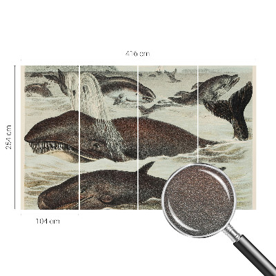 Modern wall mural Sea creatures