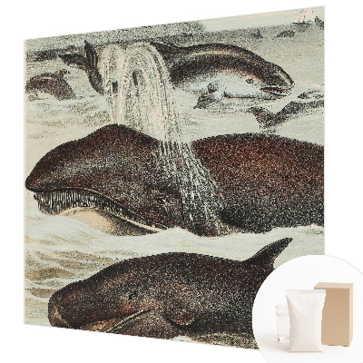 Modern wall mural Sea creatures