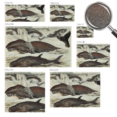 Modern wall mural Sea creatures