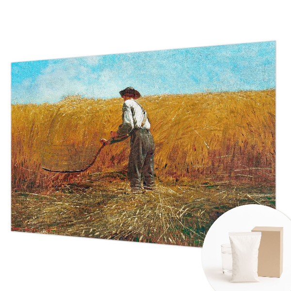 Premium photo wallpaper Harvest in the sun