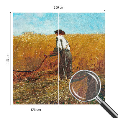 Premium photo wallpaper Harvest in the sun