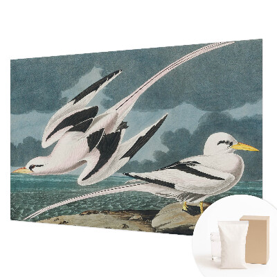 Large wallpaper mural Birds by the sea