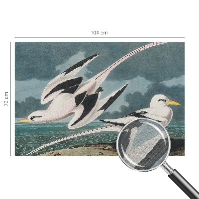 Large wallpaper mural Birds by the sea