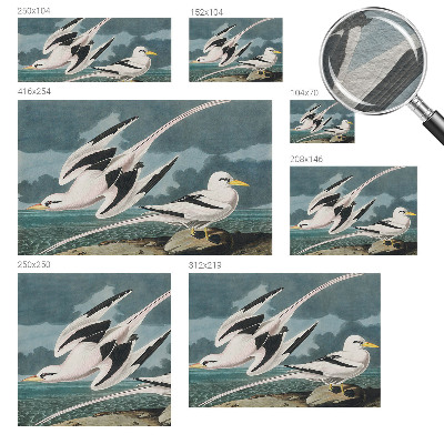 Large wallpaper mural Birds by the sea